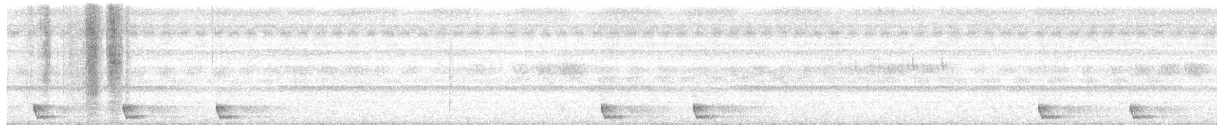 Large-tailed Nightjar - ML616454395