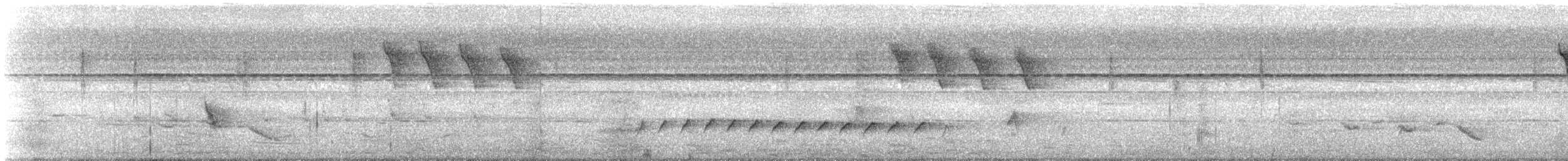 Turuncu Karınlı Öksekuşu - ML616455285