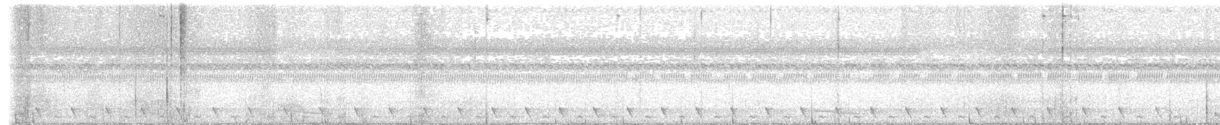 Dschungelnachtschwalbe - ML616457440