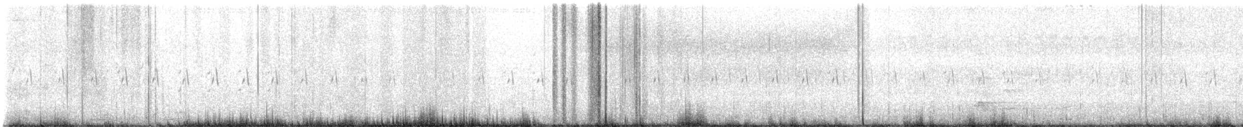 Schlichtprinie - ML616461820