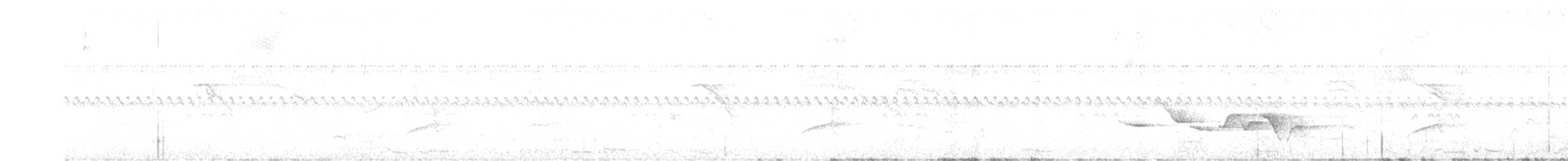 Поплітник плямистий - ML616465916