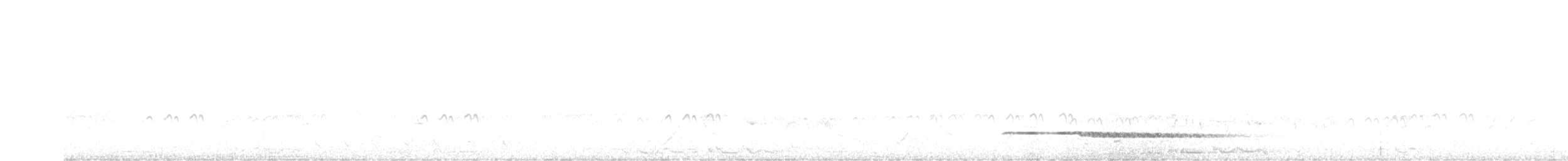 Little Tinamou - ML616465981
