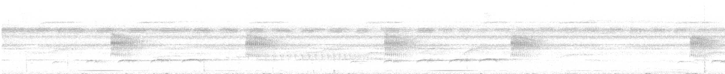 Кадук плямистохвостий - ML616466991