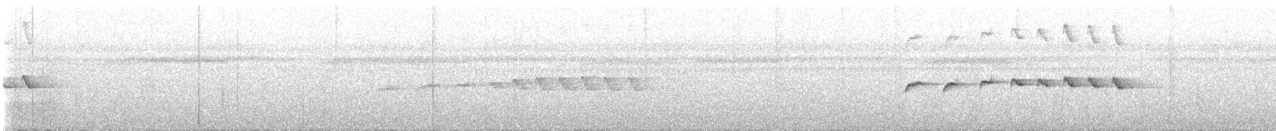 Grauscheitel-Ameisenvogel - ML616467240