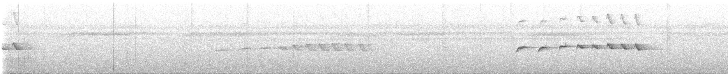 Dull-mantled Antbird - ML616467240