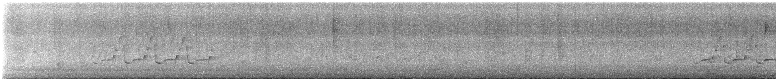 Carolina Wren - ML616467301