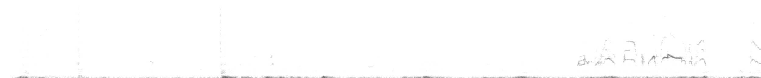 Pacific Golden-Plover - ML616468075