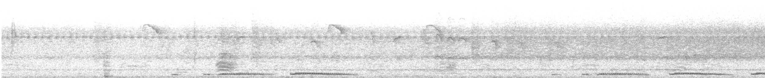 hrdlička kropenatá - ML616468632