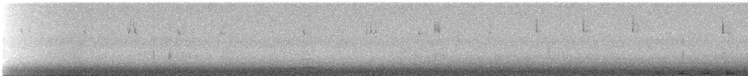 Сова плямиста - ML616471279