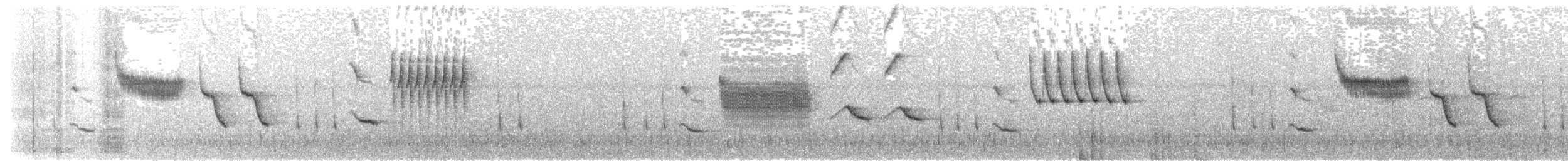 Troglodyte de Latham - ML616471901