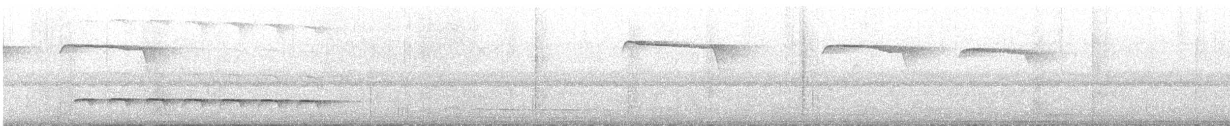 Weißbinden-Ameisenvogel - ML616471935