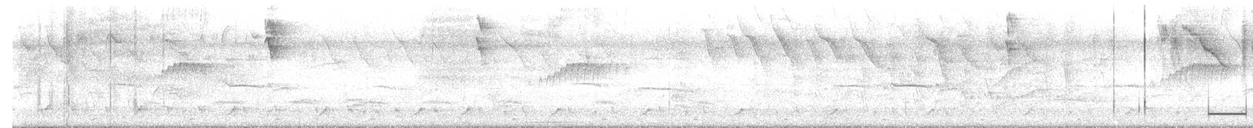 Güneyli Bıyıksız Tiranulet - ML616472921
