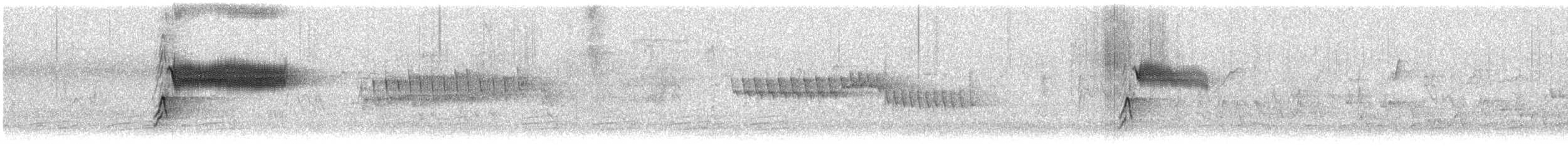 Fleckengrundammer - ML616473502