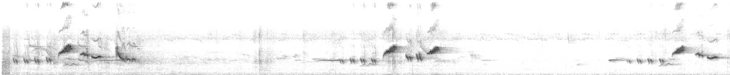 Cossyphe à gorge blanche - ML616474330