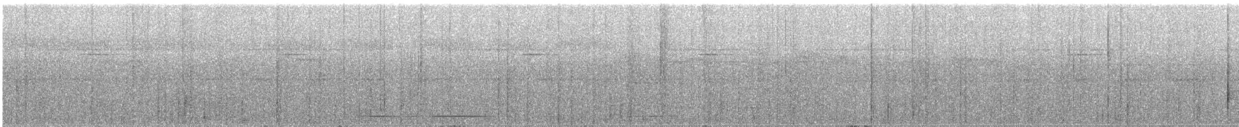 White-throated Tinamou - ML616475507