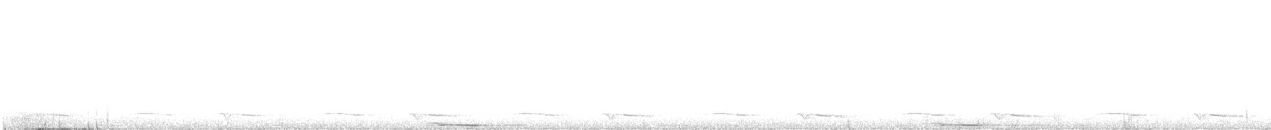 Çizgili Bıldırcın Kumrusu - ML616475798