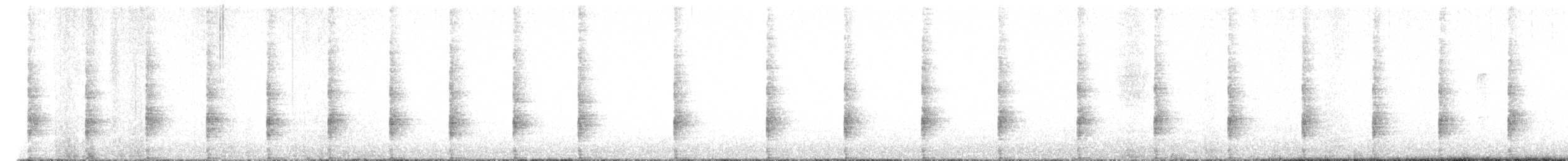 Râle élégant - ML616475843
