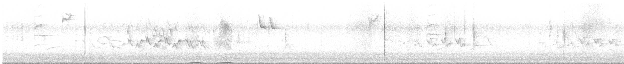 Чернітка білокрила - ML616476926