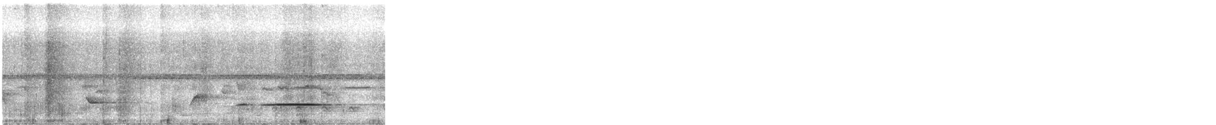 Brown Illadopsis - ML616477275