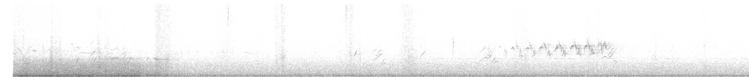 Taçlı Ötleğen (auduboni) - ML616477668