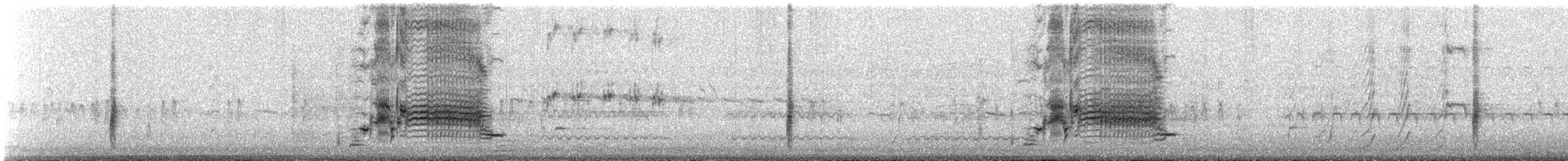 rødvingetrupial (phoeniceus gr.) - ML616486013