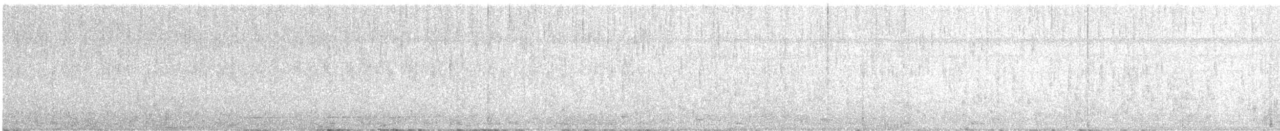 Undulated Tinamou - ML616489829