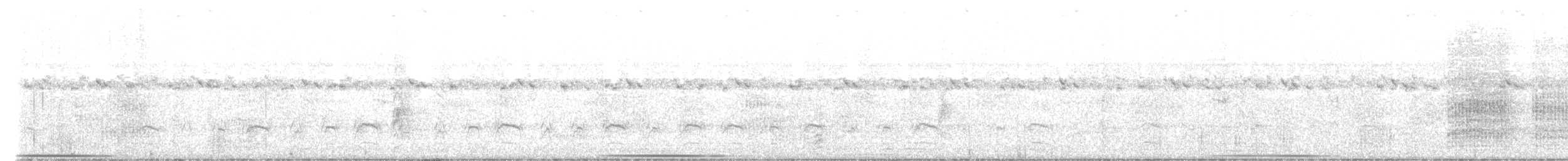 holub šedočelý - ML616489926