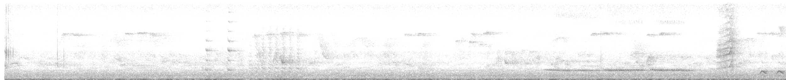svartstrupelattertrost (chinensis gr.) - ML616492855