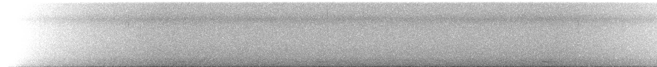 Chevêchette naine (groupe californicum) - ML616496157