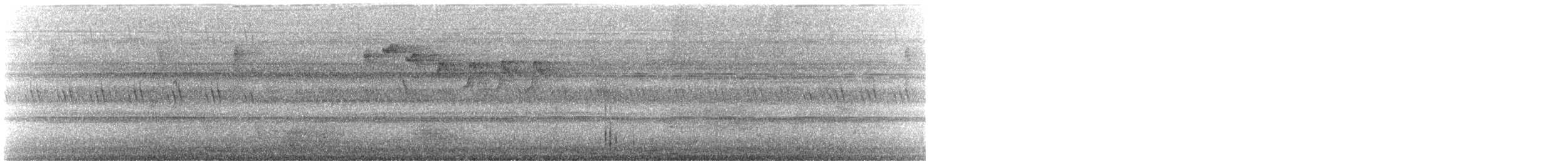 Turuncu Karınlı Öksekuşu - ML616496660