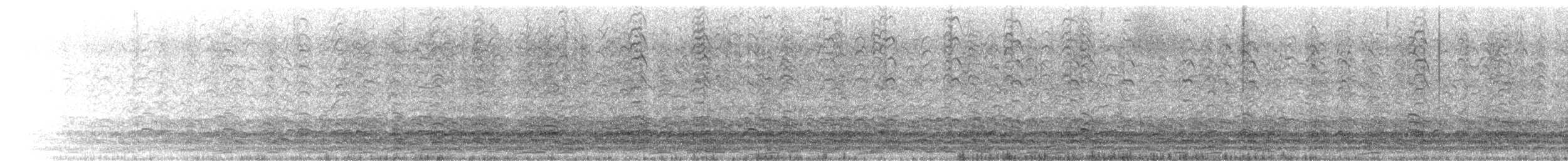 Малая канадская казарка (minima) - ML616496911