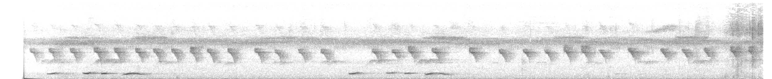 Tropfenflügel-Ameisenfänger - ML616497382