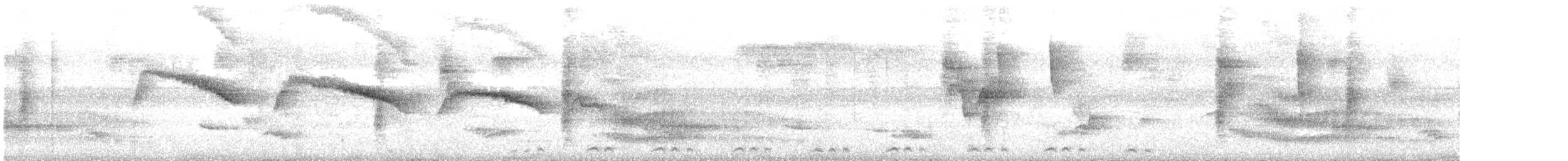 Светлогорлый тенелюб - ML616497416