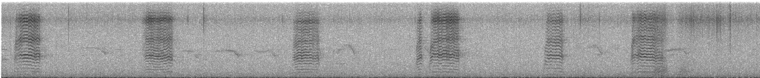 Серый сорокопут - ML616499986