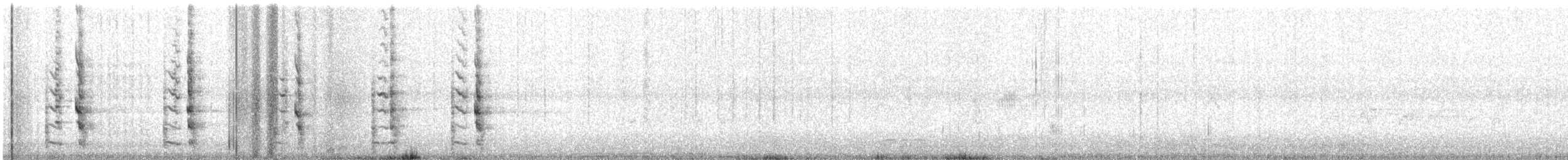 sokol stěhovavý (ssp. peregrinator) - ML616500422