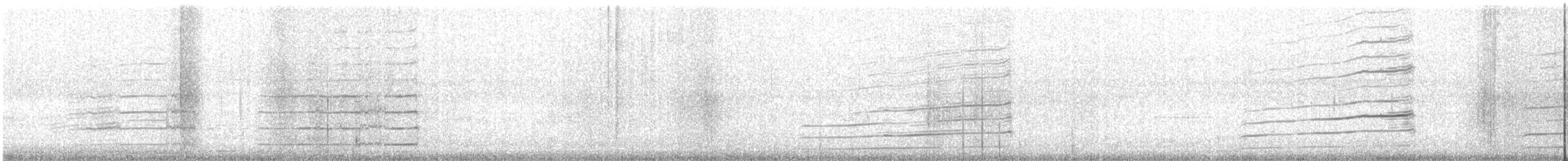 sokol stěhovavý (ssp. peregrinator) - ML616500424