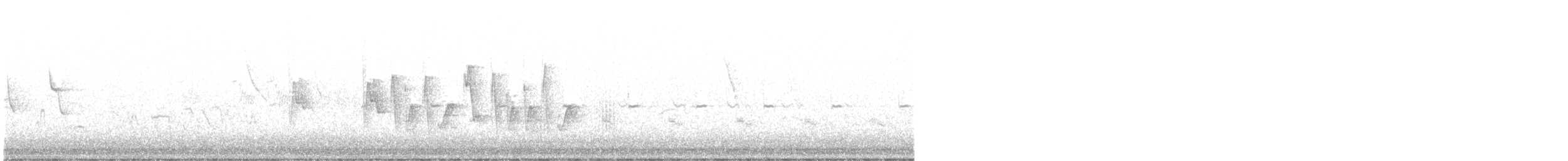 Широкохвістка середземноморська - ML616501254