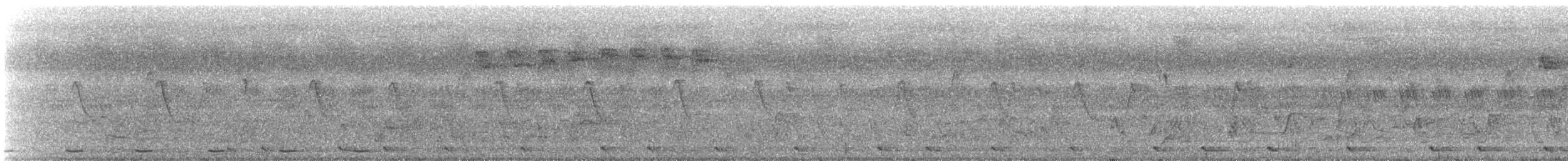 Turuncu Karınlı Öksekuşu - ML616502205