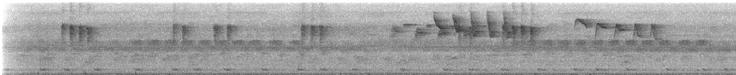 Turuncu Karınlı Öksekuşu - ML616502206