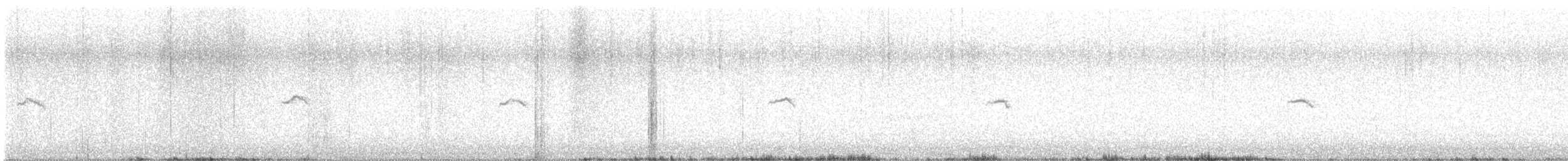 gransanger (tristis) (sibirgransanger) - ML616502413