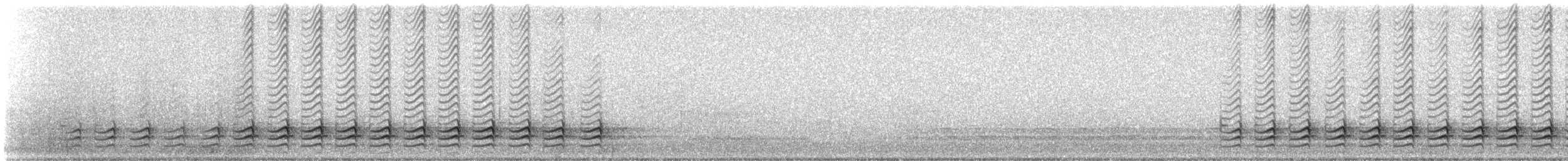 Weißbrustkleiber - ML616502665