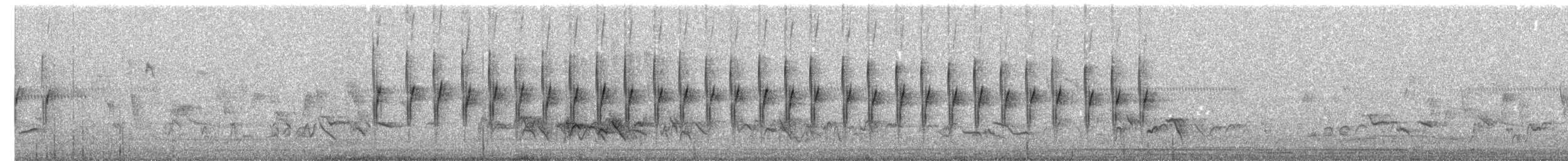 Grünmantel-Bogenflügel [brevicaudata-Gruppe] - ML616503418