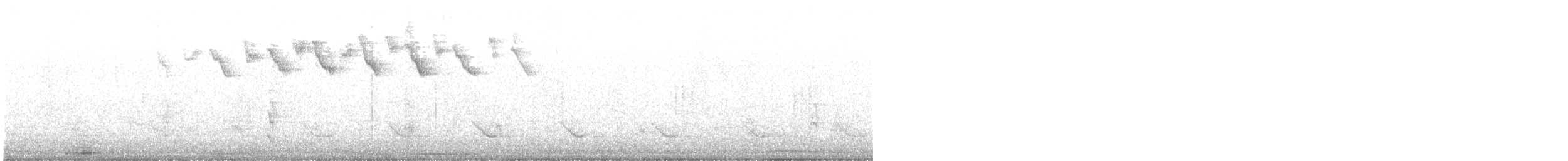 Paruline noir et blanc - ML616504116