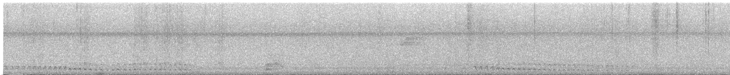 White-tailed Trogon - ML616504204