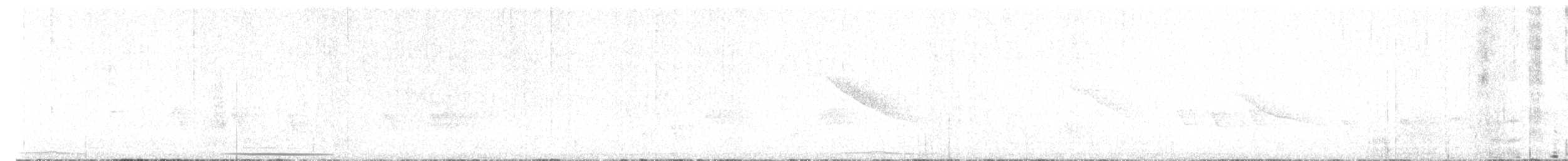 holub grenadský - ML616504354