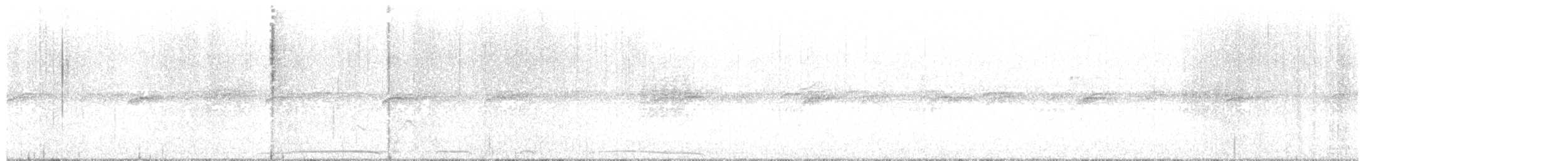 holub neotropický - ML616504555