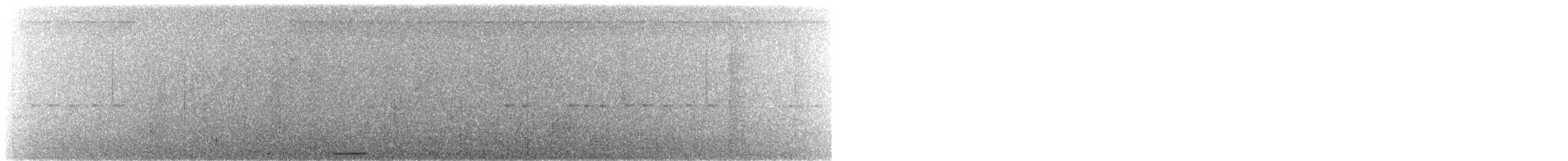 holoubek šedomodrý - ML616508126