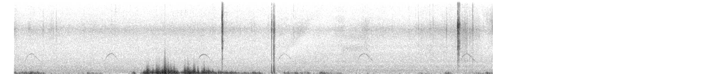 Élénie à cimier blanc (chilensis) - ML616513581