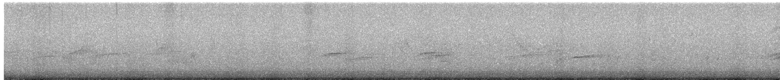 White-tailed Kite - ML616513981