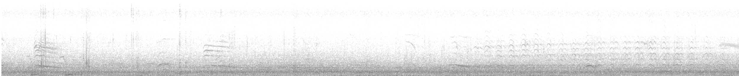 Аденская чайка - ML616514612